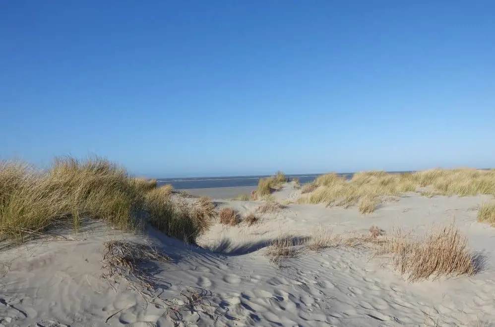 Schiermonnikoog video