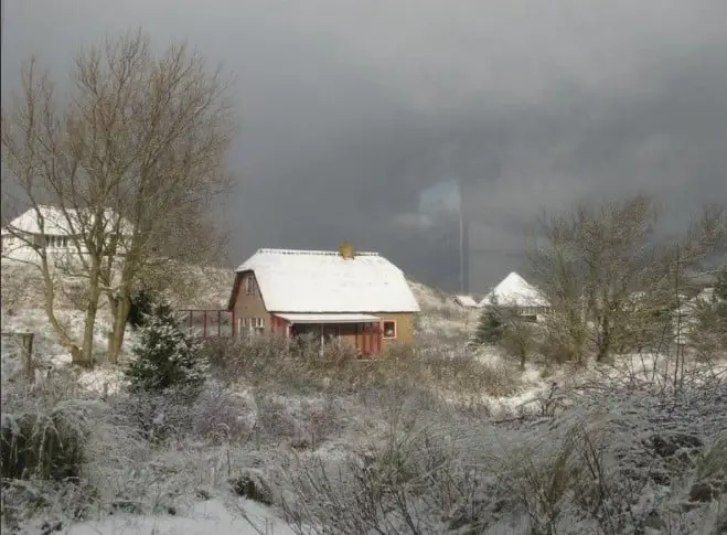 de winterkoning vakantiehuisje op schiermonnikoog de winterkoning vakantiehuisje op schiermonnikoog