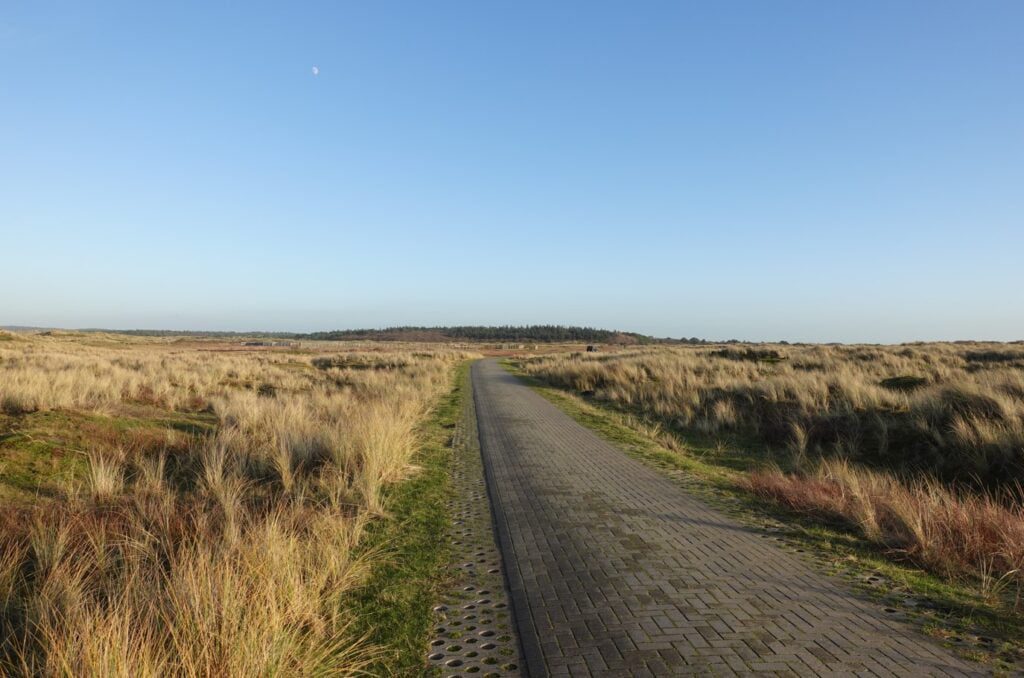 vlieland natuur