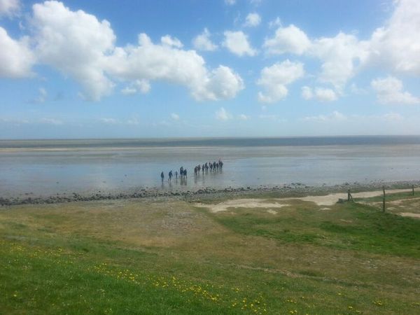 wad excursie wad excursie