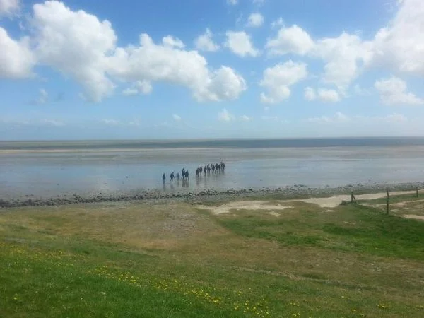 wad excursie wad excursie