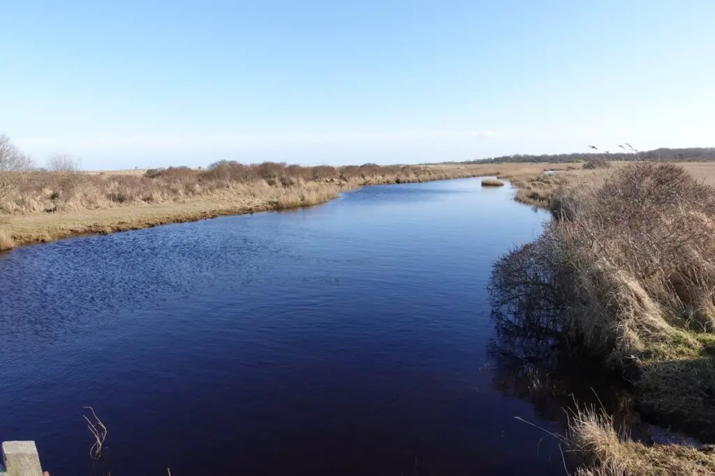kwelders en getijden schiermonnikoog kwelders en getijden schiermonnikoog
