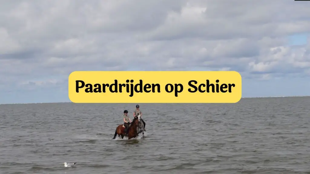 paardrijden-op-schiermonnikoog