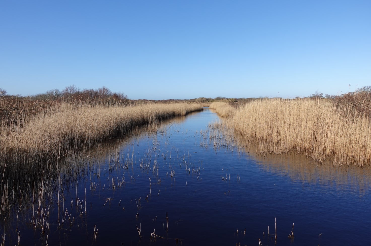 schiermonnikoog fietsen schiermonnikoog fietsen
