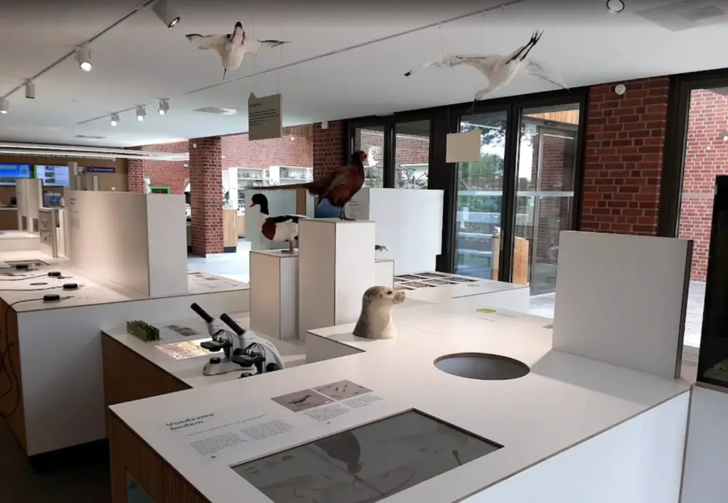 tentoonstelling het baken schiermonnikoog tentoonstelling het baken schiermonnikoog