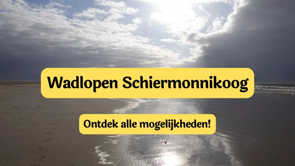 wadlopen naar schiermonnikoog