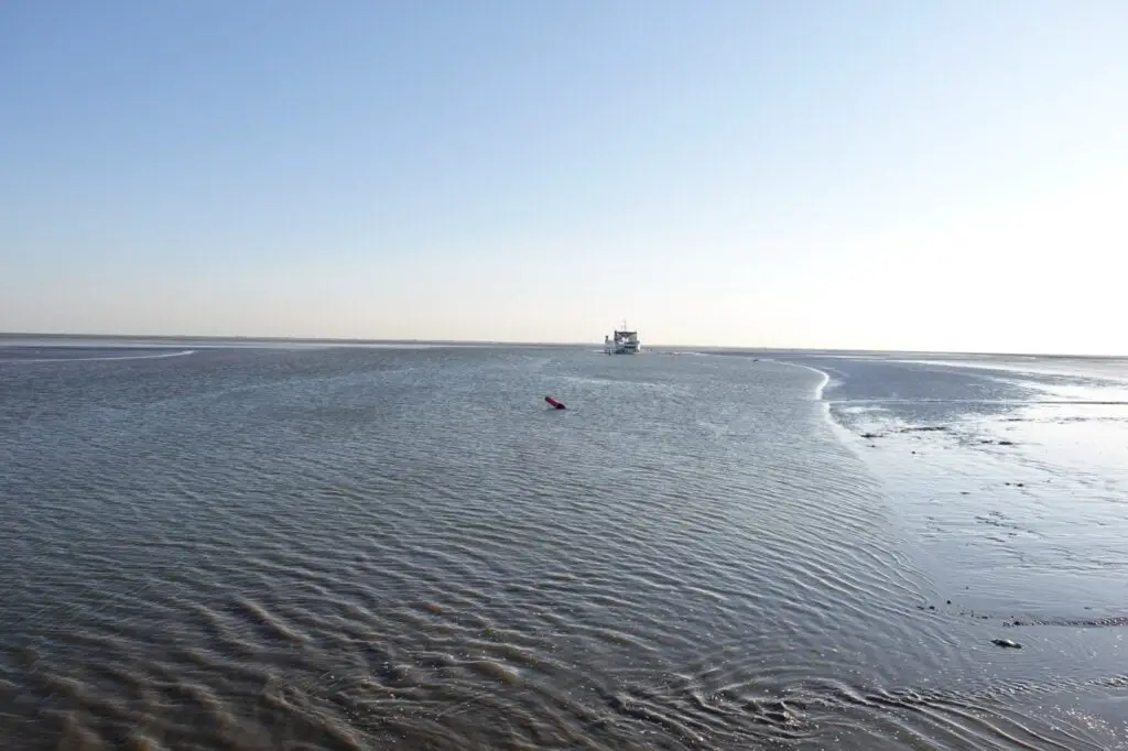 wadlopen pieterburen