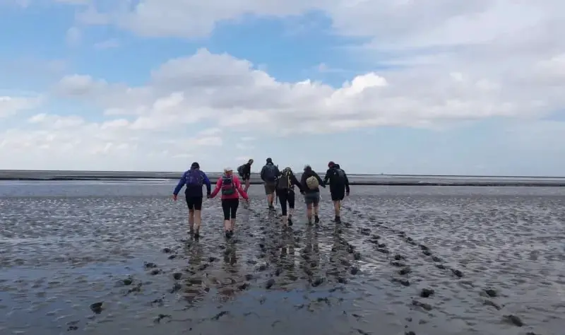 wadlopen schiermonnikoog