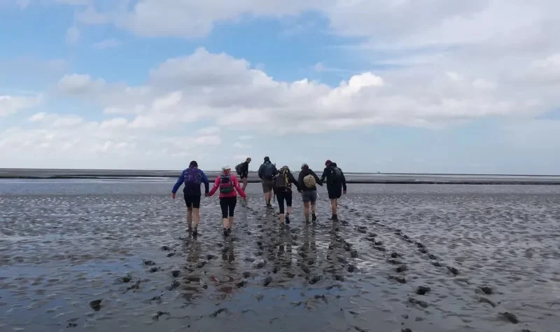 wadlopen schiermonnikoog wadlopen schiermonnikoog