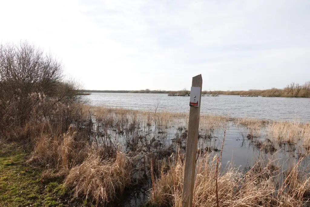 westerplas schiermonnikoog westerplas schiermonnikoog