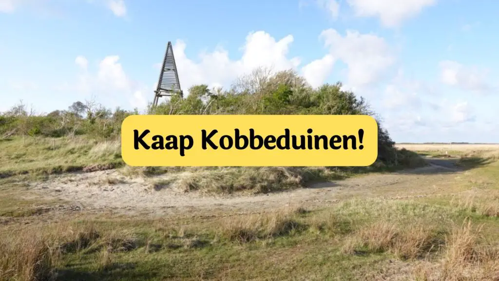 Kaap kobbeduinen schiermonnikoog