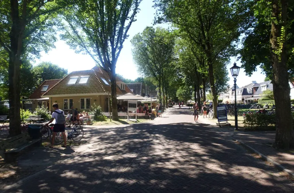 ambrosijn schiermonnikoog ambrosijn schiermonnikoog