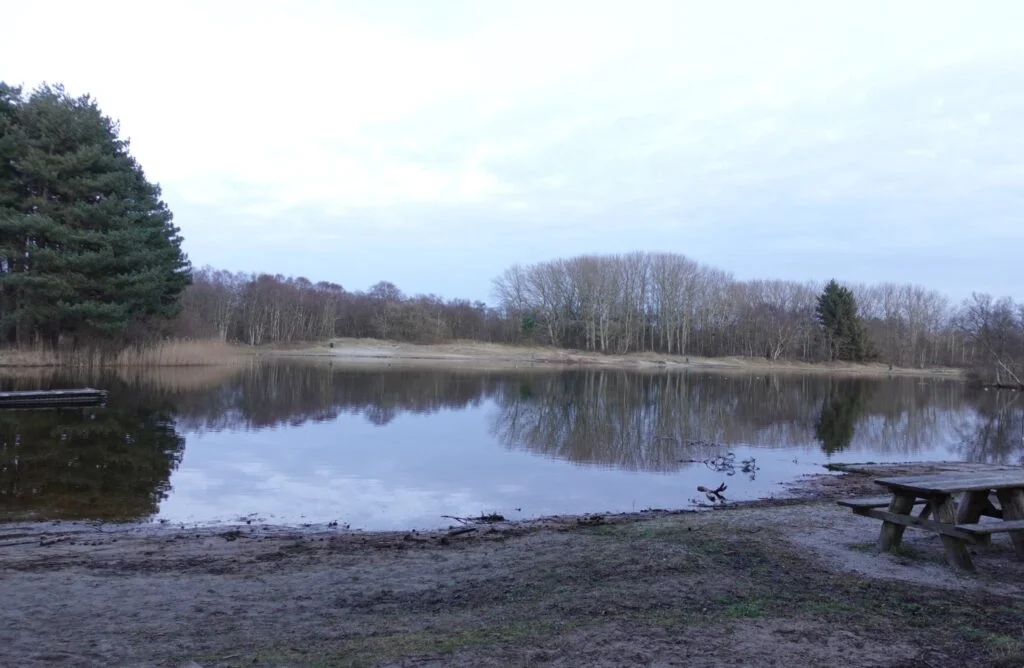 berkenplas schiermonnikoog berkenplas schiermonnikoog