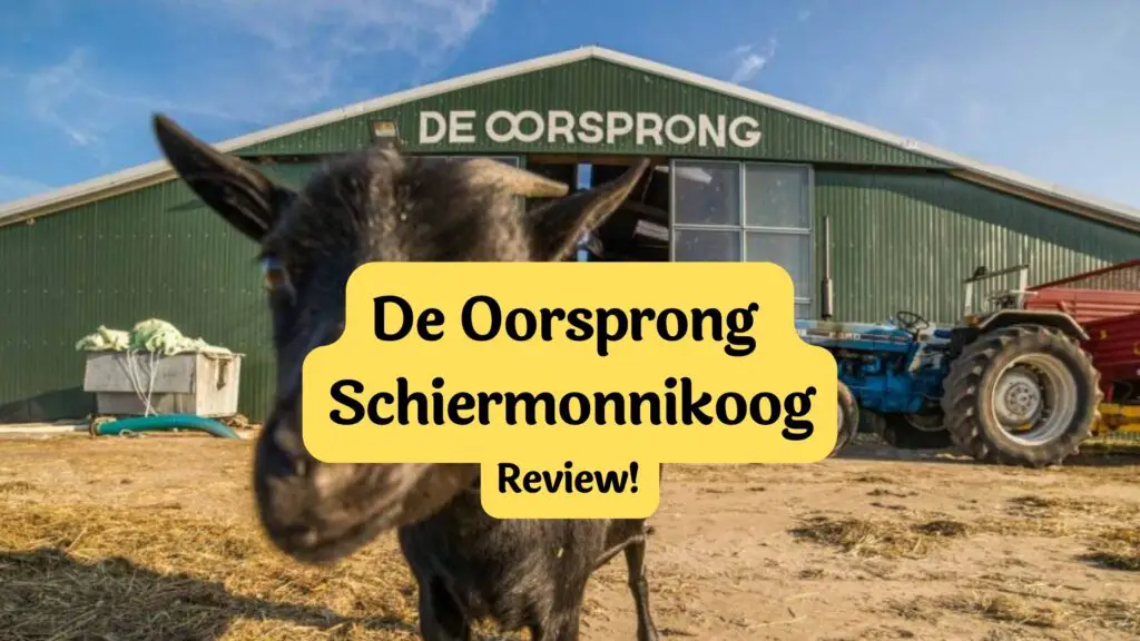 de oorsprong schiermonnikoog