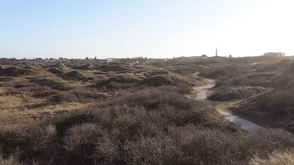 esonstad schiermonnikoog esonstad schiermonnikoog