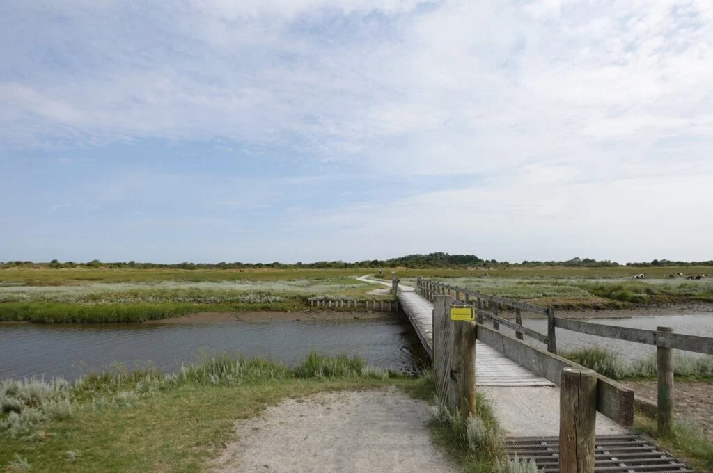 fietsroute schiermonnikoog door kwelders fietsroute schiermonnikoog door kwelders