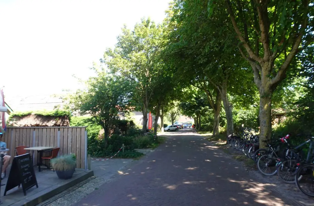 ontdek schiermonnikoog ontdek schiermonnikoog