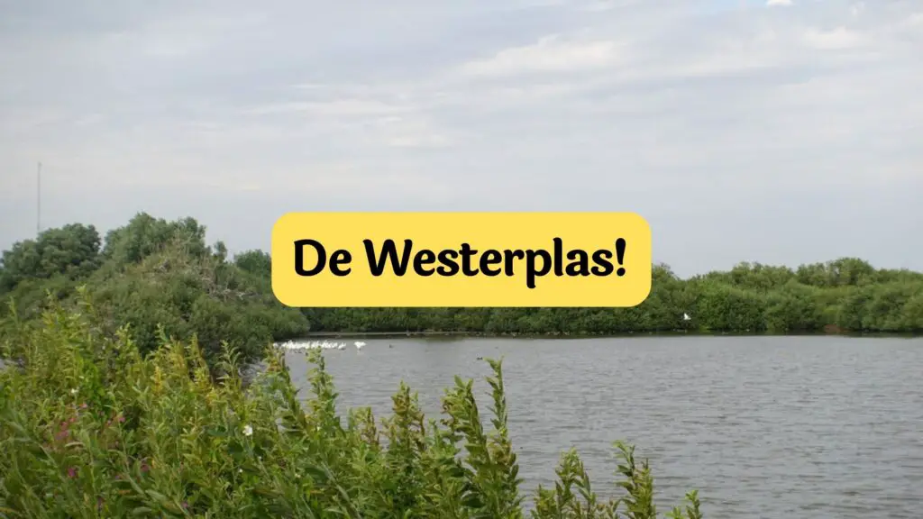 westerplas schiermonnikoog