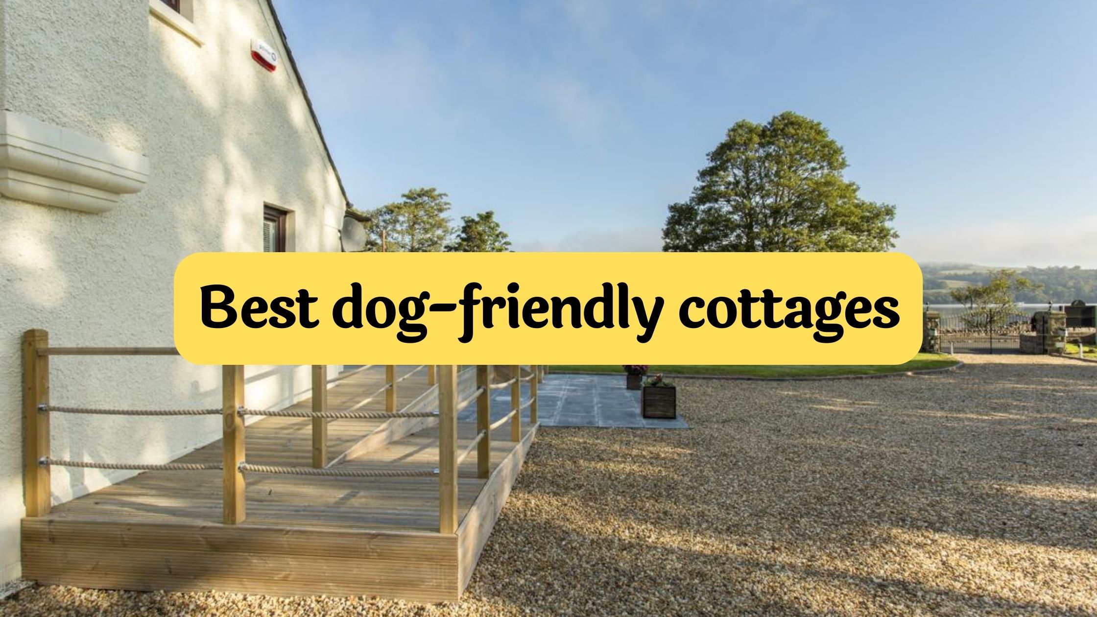 3 dog 2024 holiday cottages