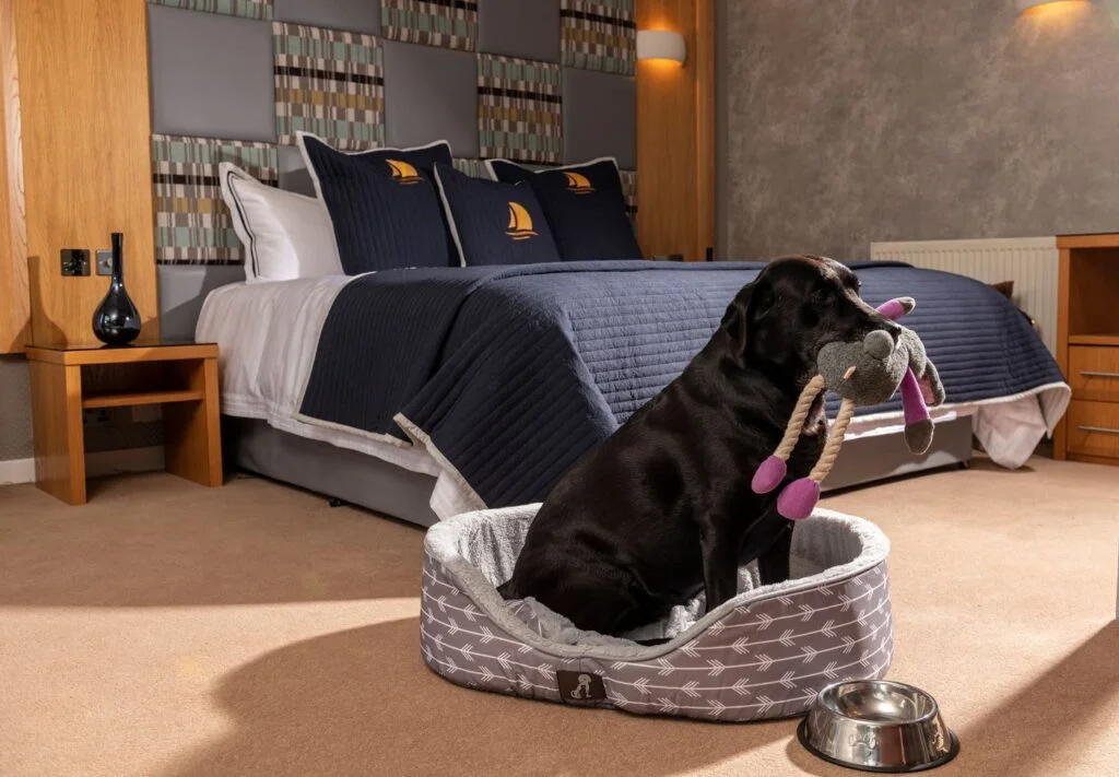 dog friendly hotel isle of skye dog friendly hotel isle of skye